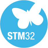 STM32 icon